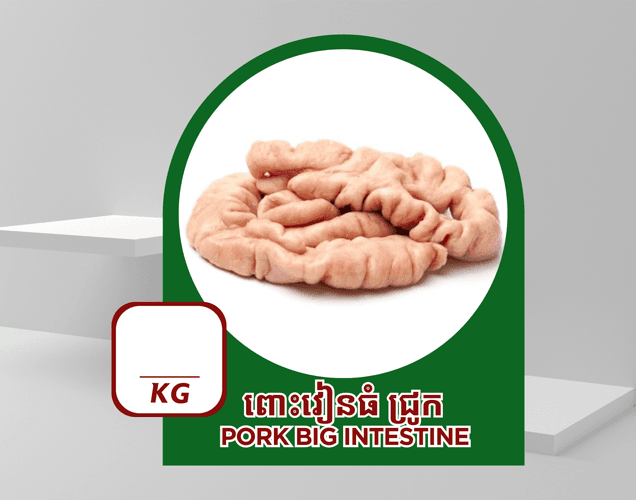 ពោះវៀនធំ ជ្រូក